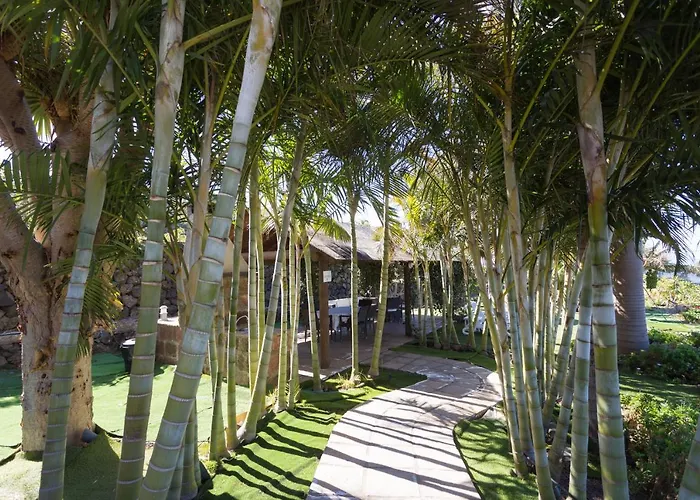 Apartment San Diego La Matanza De Acentejo